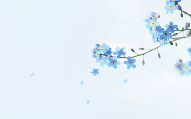 唯美藍色小花PPT背景圖片